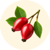 rosehip