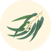 COMFREY LEAF EXTRACT
