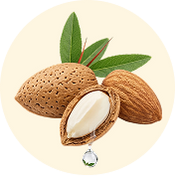 Sweet Almond