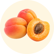 APRICOT KERNEL