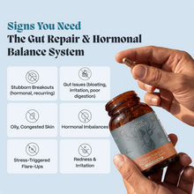 Complete Gut Repair & Hormone Health System for Male Acne-Prone Skin