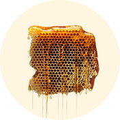 Mel (Honey)