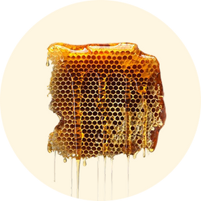 Mel (Honey)