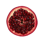 pomegranate