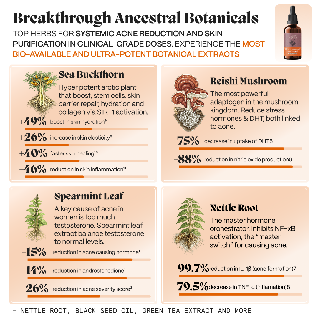 Botanical ingredient grid for the gut system: sea buckthorn, reishi, spearmint leaf and nettle root