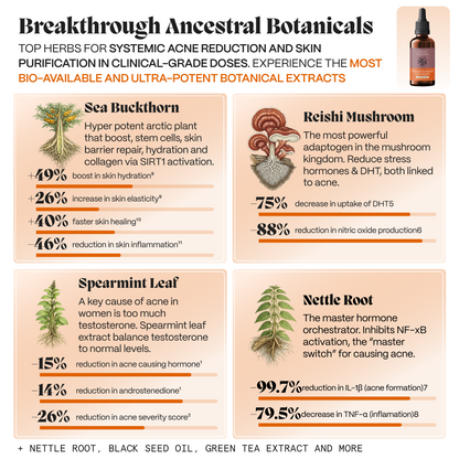Botanical ingredient grid for the gut system: sea buckthorn, reishi, spearmint leaf and nettle root