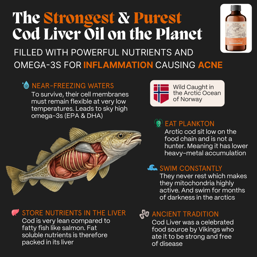 Infographic on Norse Organics Arctic cod liver oil and its omega-3 content for the gut system