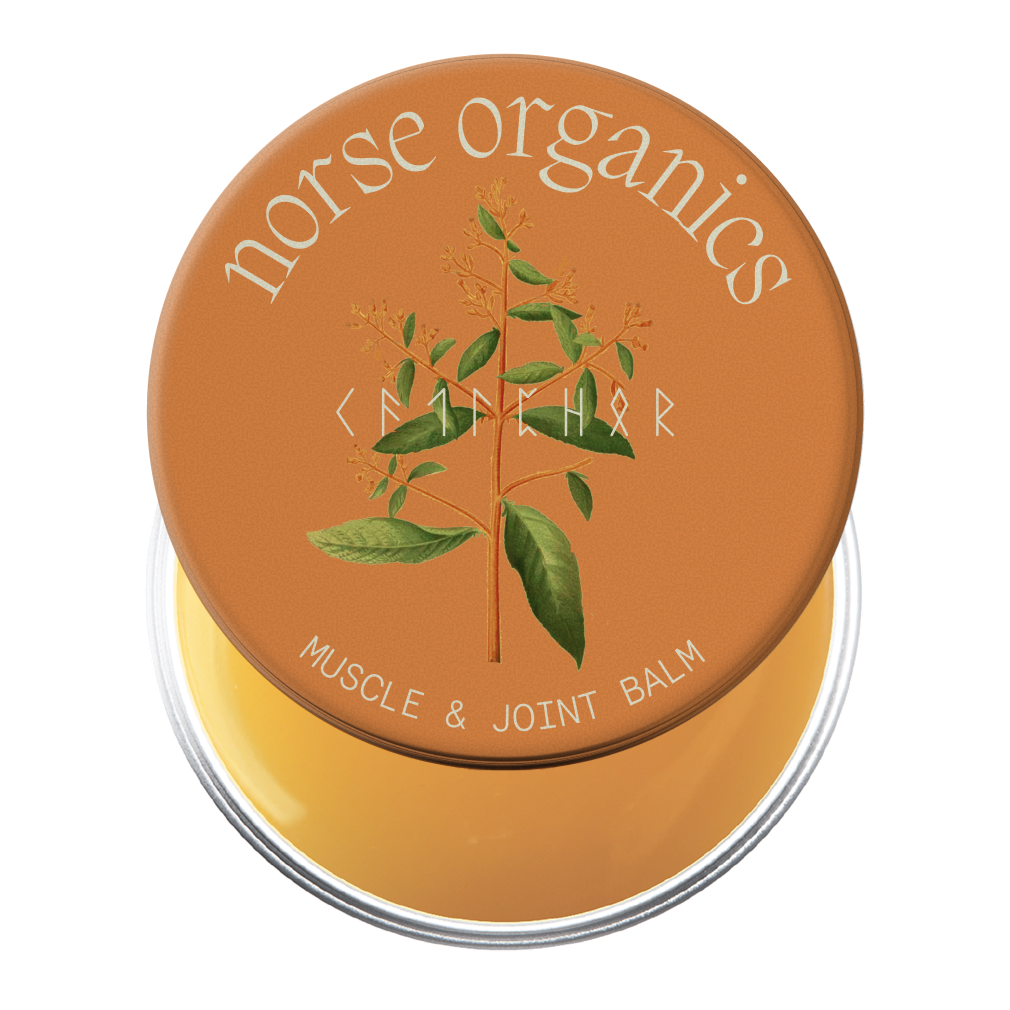 Muscle & Joint Builder Balm