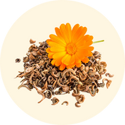 Calendula Extract