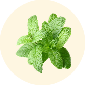 PEPPERMINT OIL