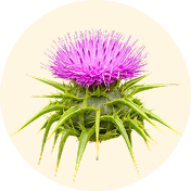 THISTLE