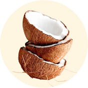 COCONUT CLEANSERS