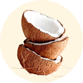 COCONUT CLEANSERS