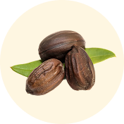 JOJOBA SEED OIL