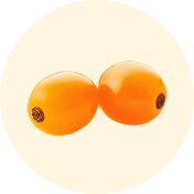 SEA BUCKTHORN FRUIT EXTRACT