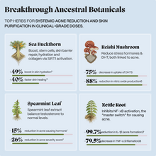 Botanical research card citing study percentages for sea buckthorn, reishi and nettle root