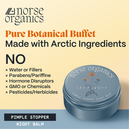 Pimple Stopper Night Balm
