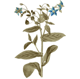 INSTANT ACNE & REDNESS TREATMENT