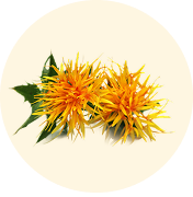 Safflower Seed Oil