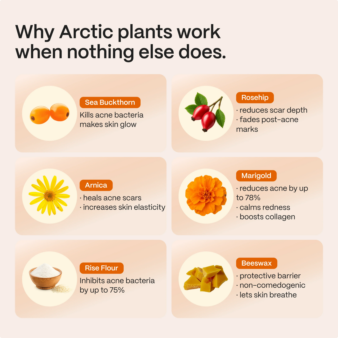 Norse Organics